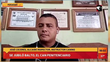 EN VIVO | Se jubiló "Balto" tras varios años de trabajo en el Servicio Penitenciario de Misiones y ya tiene familia adoptante