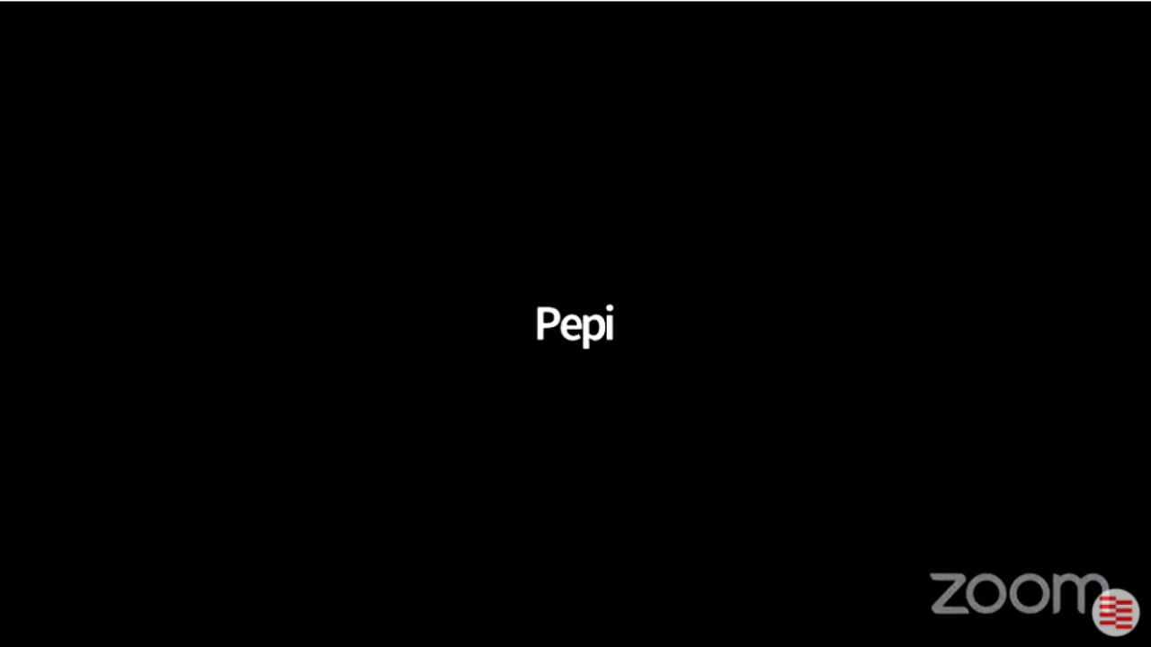 #ENDIRECTE | Roda de premsa de Patrícia Plaja per informar dels acords de Govern