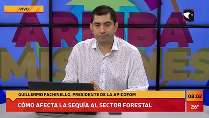 #Actualidad | Cómo afecta la sequía a sector de la madera en la región