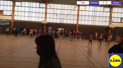Swish Live - Comité Vendée - Comité Mayenne - 7646794