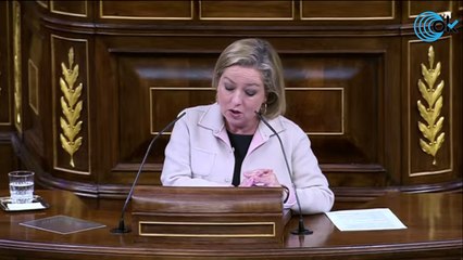 DIRECTO: El Pleno celebra la Sesión de Control al Gobierno
