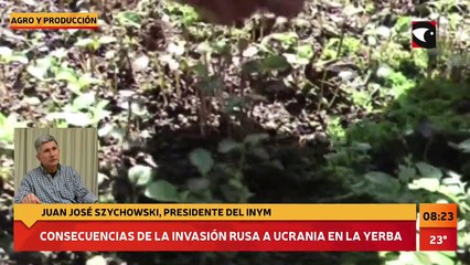 Entrevista Juan Jose Szychowski, presidente del INYM por la participación del organismo en la Expoagro 2022 y sobre la venta, producción de yerba mate.