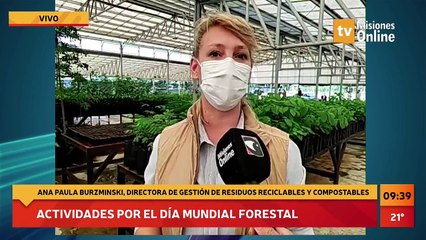 #Ambiente | Actividades por el Día Mundial Forestal