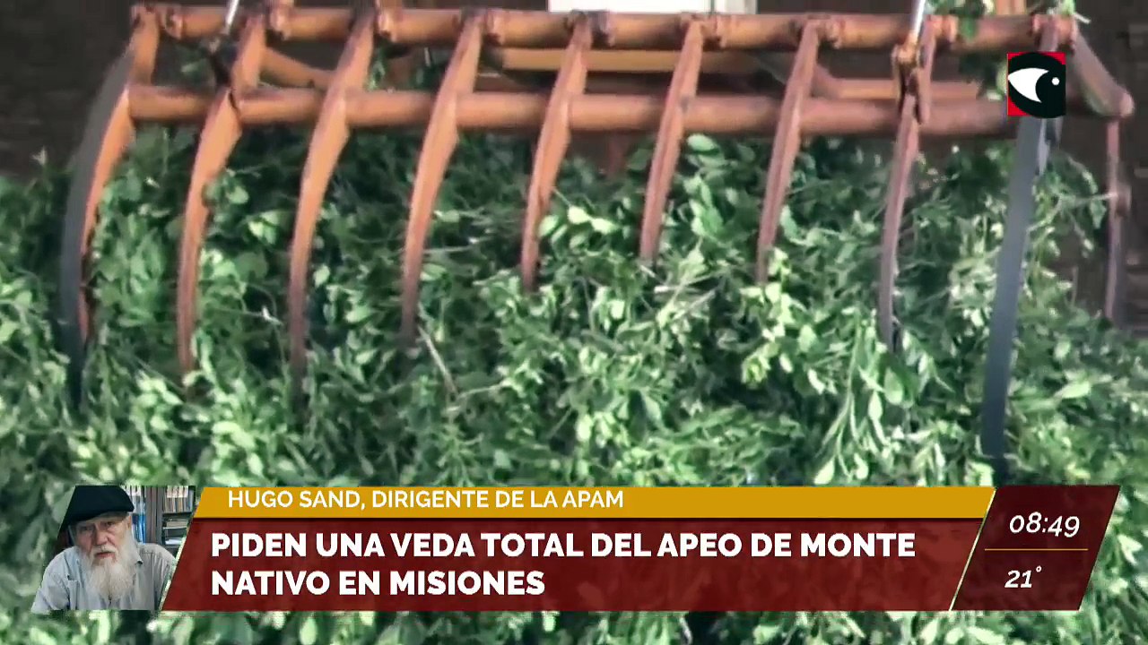 Piden una veda total del apeo de monte nativo en Misiones. Entrevista a Hugo Sand, dirigente de la Asociación de Productores Agropecuarios de Misiones (APAM)