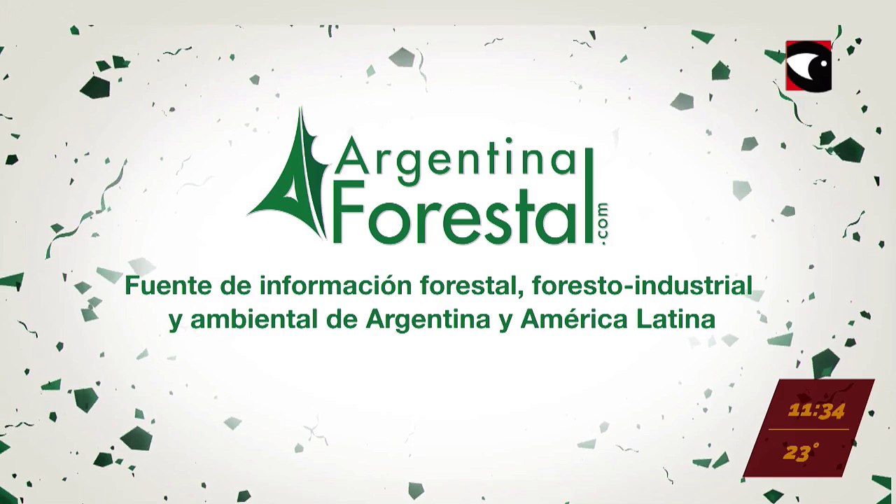 En vivo: empresas distinguidas por la calidad de sus servicios y generación de empleos, en el 22 Aniversario de Misiones Online