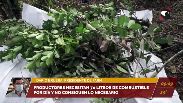 Productores necesitan 70 litros de combustible por día y no consiguen lo necesario. Entrevista a Darío Bruera, Presidente de la Federación de Asociaciones Rurales de Misiones (FARM)