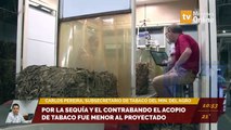 Por la sequía y el contrabando el acopio de tabaco fue menor al proyectado. Entrevista a Carlos Pereira, subsecretario de tabaco del Ministerio del Agro y la producción.