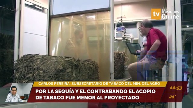 Por la sequía y el contrabando el acopio de tabaco fue menor al proyectado. Entrevista a Carlos Pereira, subsecretario de tabaco del Ministerio del Agro y la producción.