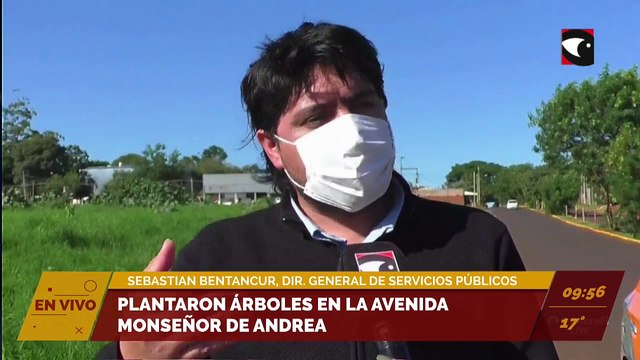 Plantaron arboles en la avenida Monseñor de Andrea