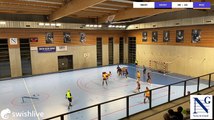 Swish Live - Noisy le Grand Handball - Rochechouart-St-Junien Handball 87 - 6428088