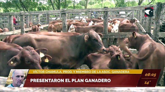 Presentaron el plan ganadero. Víctor Chamula, productor y miembro de la Asociación ganadera de Misiones