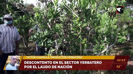 Descontento en el sector yerbatero por el laudo de Nación