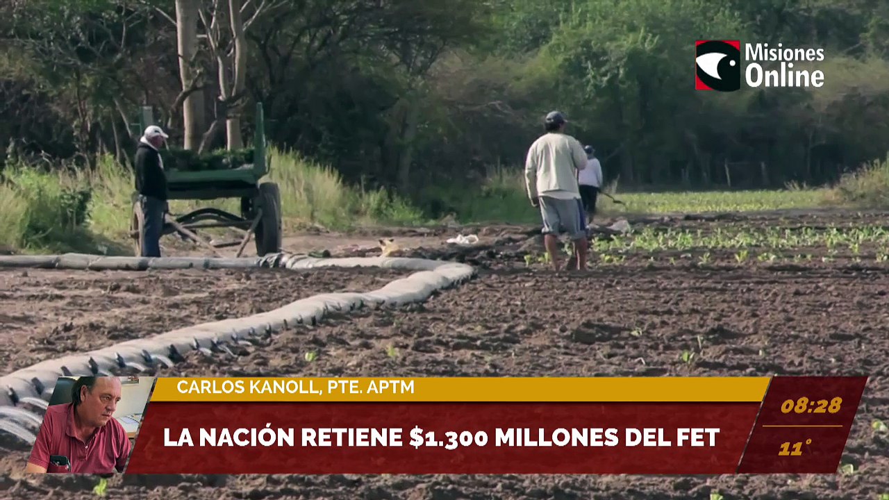 La Nación retiene $1.300 millones del FET. Entrevista a Carlos Knoll, presidente de APTM.