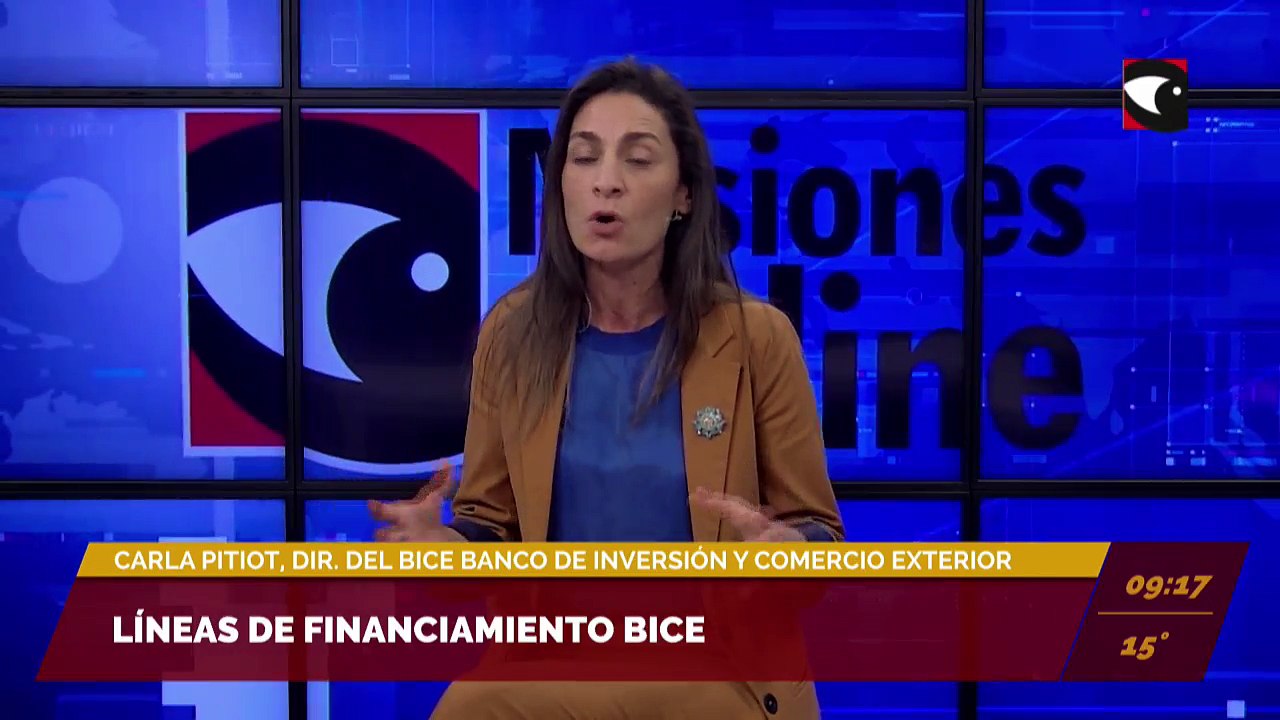 Líneas de financiamiento BICE. Carla Pitiot, directora del BICE (Banco de Inversión y Comercio Exterior).