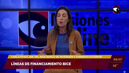 Líneas de financiamiento BICE. Carla Pitiot, directora del BICE (Banco de Inversión y Comercio Exterior).