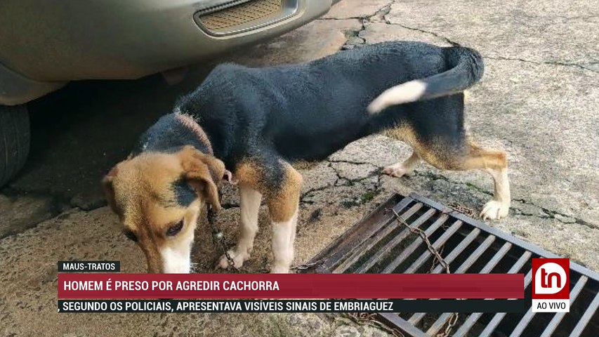 ATENÇÃO: MAIS UM ASSALTO EM APUCARANA. SEIS LADRÕES INVADEM CASA E TRANCAM FAMÍLIA DURANTE O ROUBO