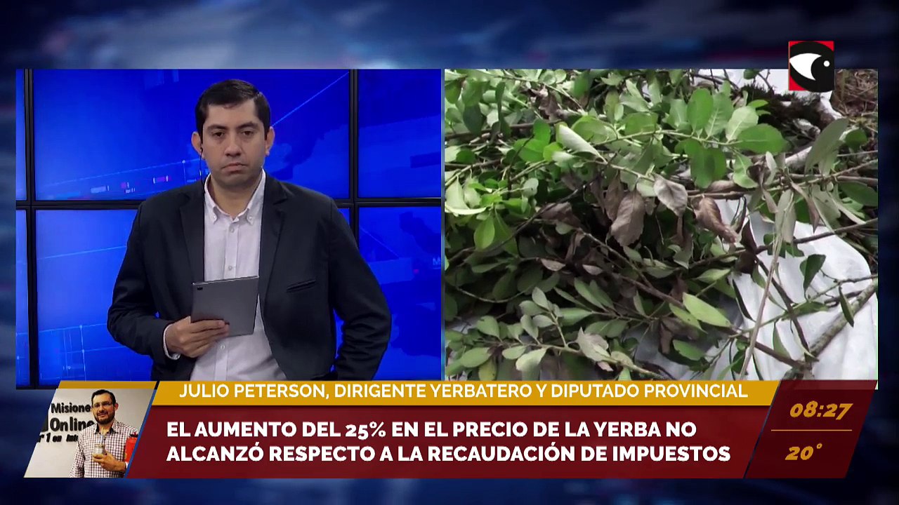 Yerbateros se quejan por aumento con la corresponsabilidad gremial. Entrevista a Julio Peterson, dirigente yerbatero y diputado provincial