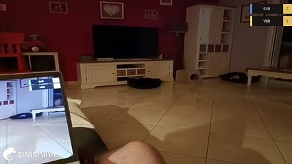 Swish Live - Match de Badminton du 10/07 - 7889993