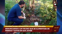 Denunciaron a un vecino que se alimentaba de perros y gatos en San Javier. Entrevista a Alejandra Olivera, integrante de la fundación Amor Animal