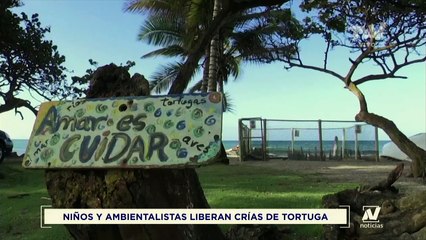Noticiero TVV - Estelar
