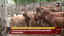 Otorgaron beneficios a productores ganaderos para facilitar la compra de alfalfa. Sebastián Rodríguez, subsecretario de Desarrollo y producción animal.