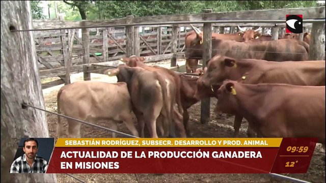 Otorgaron beneficios a productores ganaderos para facilitar la compra de alfalfa. Sebastián Rodríguez, subsecretario de Desarrollo y producción animal.