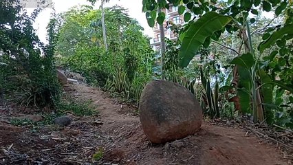 Puerto Vallarta Mexico by UTMB 2026 2026 - CANOPY