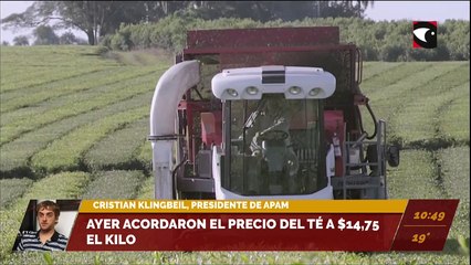 Ayer acordaron el precio del té a $14,75 el kilo