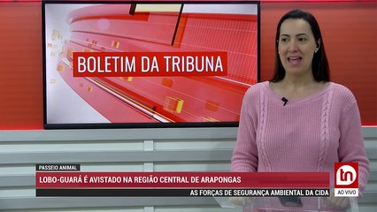 Ao vivo: desfile cívico marca feriado em Apucarana