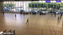 Swish Live - Levallois Sporting Club Handball - Bois-Colombes Sports Handball - 8262545