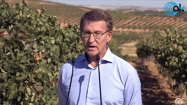 Alberto Núñez Feijóo y Alfonso Fernández Mañueco atienden a los medios de comunicación