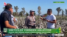 Halk TV CANLI YAYIN | HD