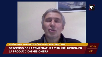 Descenso de la temperatura y su influencia en la producción misionera. Entrevista con José Olinuk, agrometeorológo del INTA Cerro Azul.