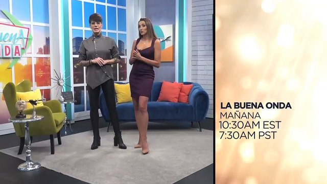 14.11.11 Noticas TVV Estelar