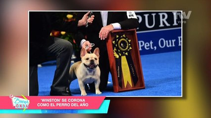 Noticias TVV Meridiano 01.12.22