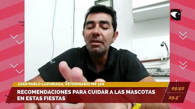 Recomendaciones para cuidar a tus mascotas en estas Fiestas.