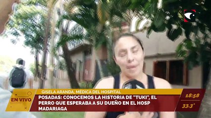 Posadas: El perro que esperaba a su dueño en el Hospital Madariaga fue adoptado.