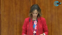 DIRECTO| Díaz Ayuso participa en el Pleno de la Asamblea de Madrid
