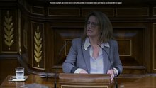 DIRECTO| El Pleno celebra la Sesión de Control al Gobierno