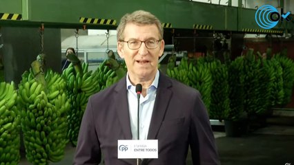DIRECTO: Feijóo clausura la presentación de la candidata del PP al Ayuntamiento de Las Palmas de Gran Canaria