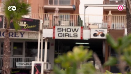 Periscopio Informativo, segunda emisión ️️ ️ Lunes a viernes a las 12:00 pm  App ·  tvcuatro.com ·  Canal 4.2