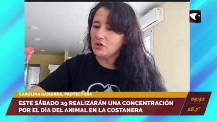 Este sábado 29 realizarán una concentración por el día del animal en la Costanera. Entrevista a Carolina Gamarra, protectora