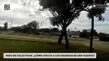 Paro de colectivos: ¿Cómo afecta a los usuarios de San Vicente?