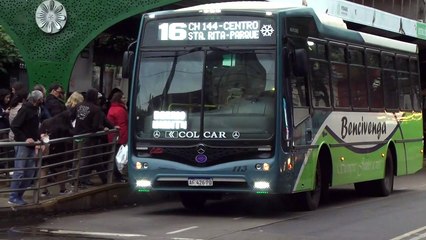 Situación actual del transporte urbano en Posadas