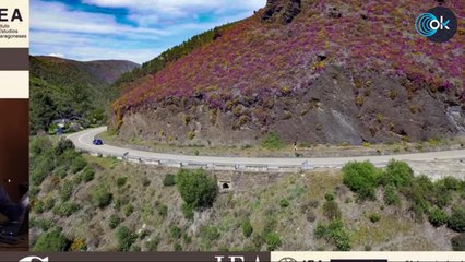 DIRECTO | Sorteo del calendario del Campeonato Nacional de Primera División