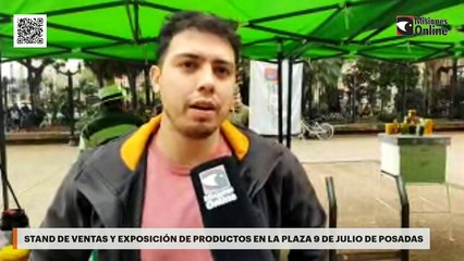 21 de junio: día de los apicultores argentinos