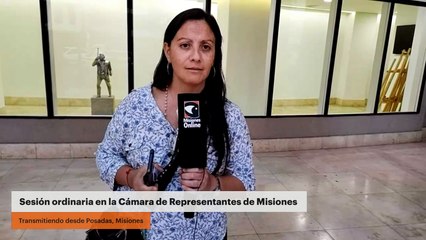 Sesión ordinaria en la Cámara de Representantes de Misiones