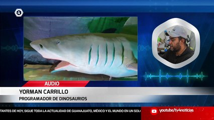 #Tv4Noticias Matutino ️️ ️ Lunes a viernes a las 5:49 am  App ·  https://tvcuatro.tv/4-1/ ·  Canal 4.1 #LoViEnTv4 #Tv4Noticias