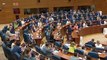DIRECTO| Ayuso en el Pleno de la Asamblea de Madrid