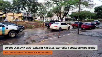 Lo que la lluvia dejó: caída de árboles, carteles y voladuras de techo en Posadas